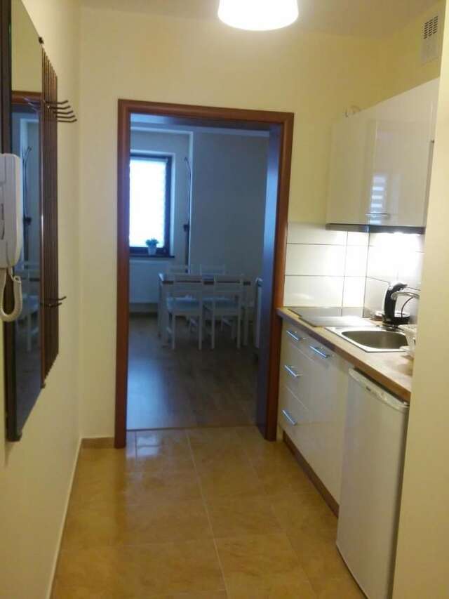 Апартаменты Apartament Akuratny Zakopane Закопане-19