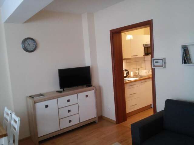 Апартаменты Apartament Akuratny Zakopane Закопане-38